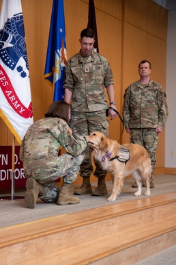 Newly pinned Air Force major accepts his duty with nose bop, paw salute