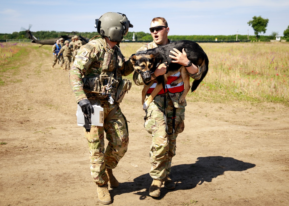 Military working dog takes flight to HOSPEX