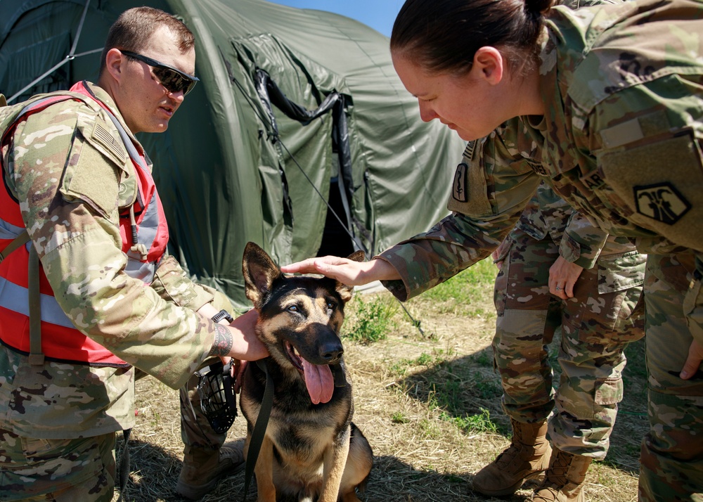 Military working dog takes flight to HOSPEX