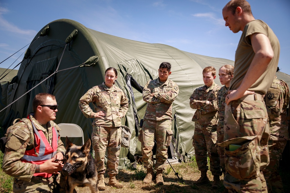 Military working dog takes flight to HOSPEX