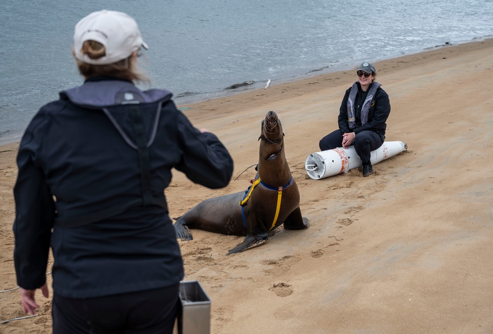 NERE23 Participants Experience Marine Mammal Program Courtesy of NIWC Pacific