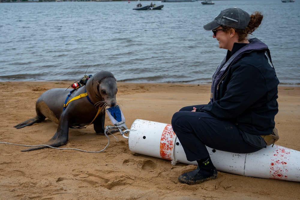 NERE23 Participants Experience Marine Mammal Program Courtesy of NIWC Pacific