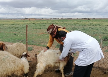 USAID supports livestock farmers in NES