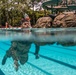 USARPAC BSC 2023: Combat Water Survival Training