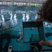 MDSU, ROKN Dive Pool Training, Cultural Exchange