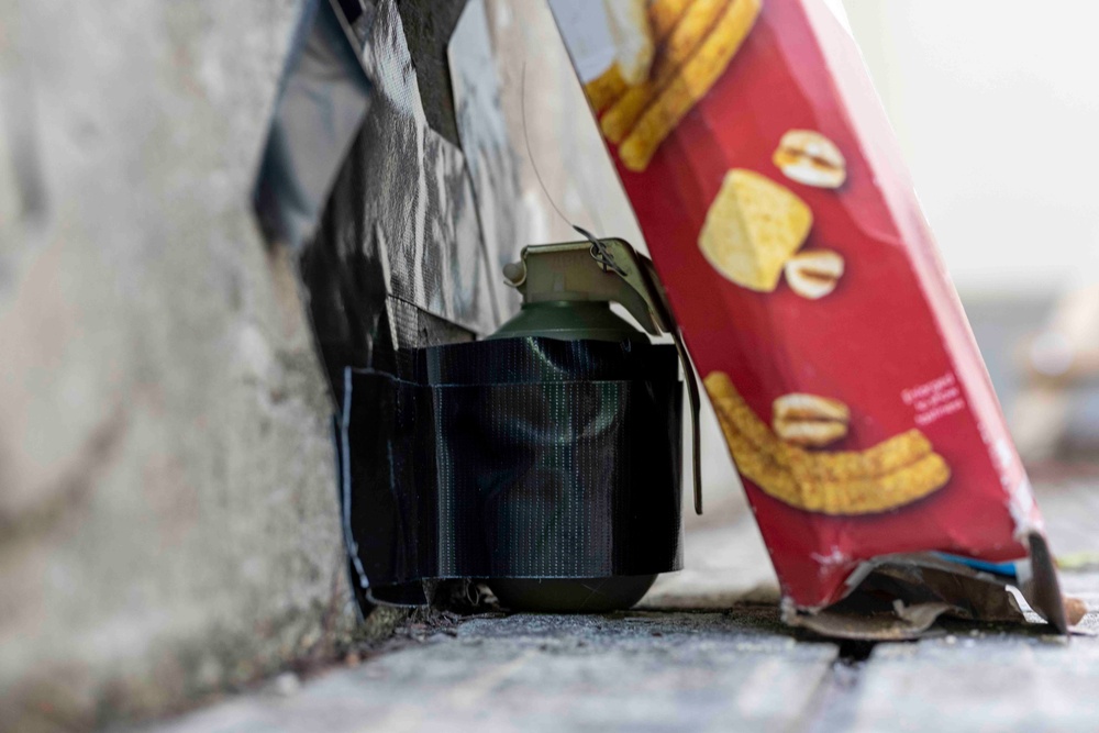 Cross-Continental Collaboration: USAF and Polish AF EOD