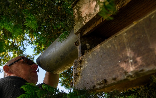 Banding of Protected Birds of Prey