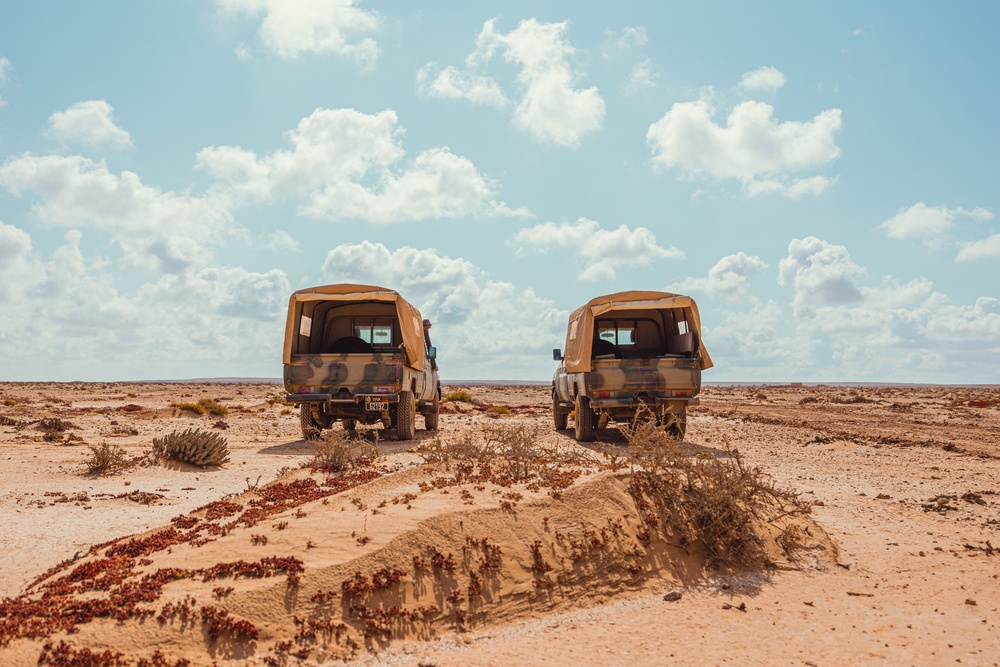 TSAE ETSD Prepares for African Lion 23