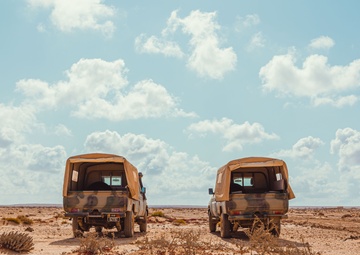 TSAE ETSD Prepares for African Lion 23