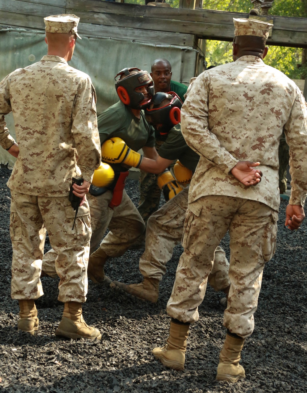 Bravo Crucible 20230608