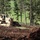 842nd Engineer project