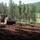 842nd Engineer project