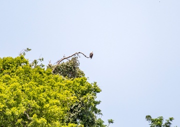 Colorado River Locks Visit