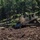 842nd Engineer Project