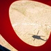 Birds That Shoot Back: Washington National Guard aviation crews conduct aerial M240H gunnery at Yakima Training Center