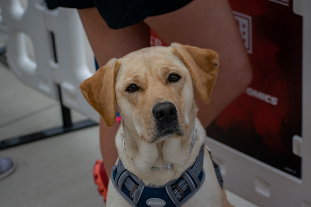 Warrior Games Challenge 2023