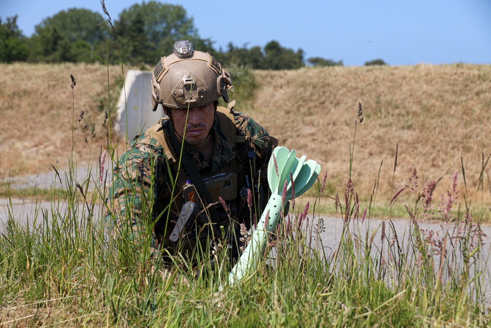 U.S. Navy, Marine Corps and French EOD technicians conduct simulated littoral ordnance removal