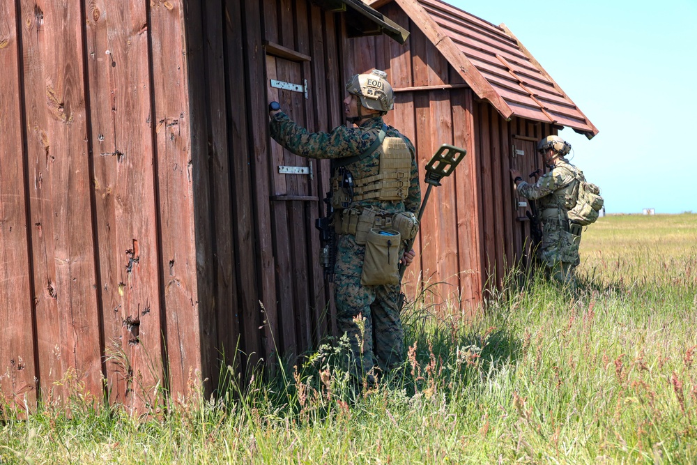 U.S. Navy, Marine Corps and French EOD technicians conduct simulated littoral ordnance removal