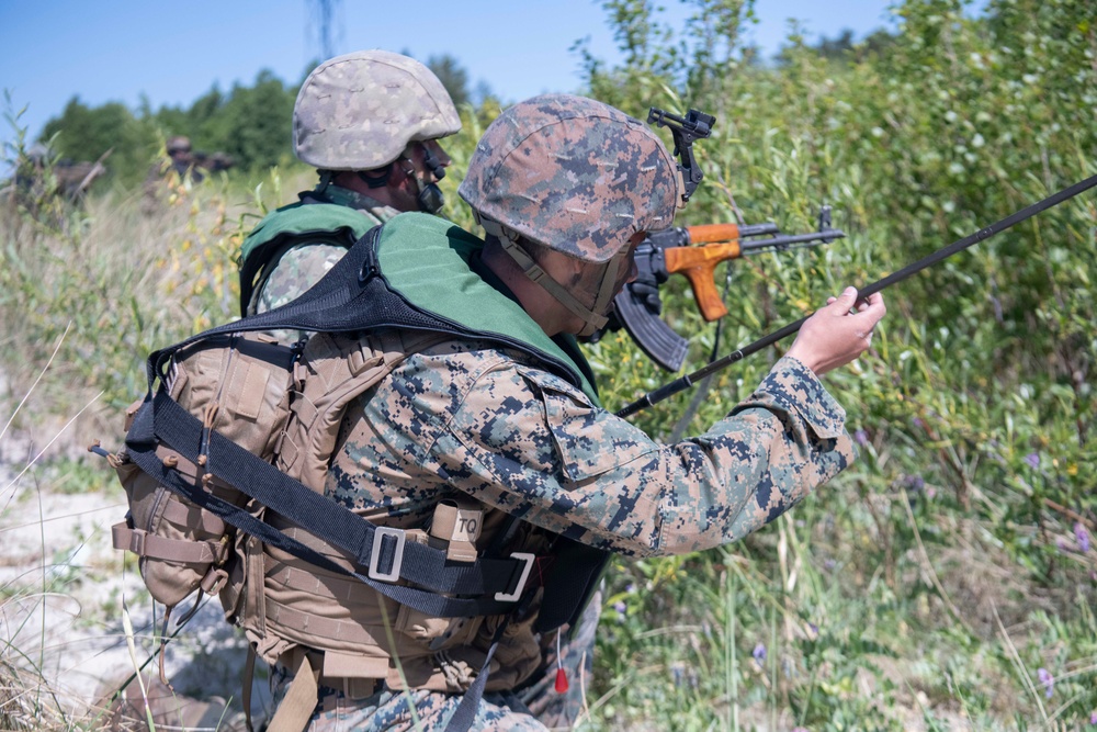 Multinational Marine Forces conduct amphibious operations during BALTOPS23