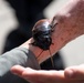 Bug Week