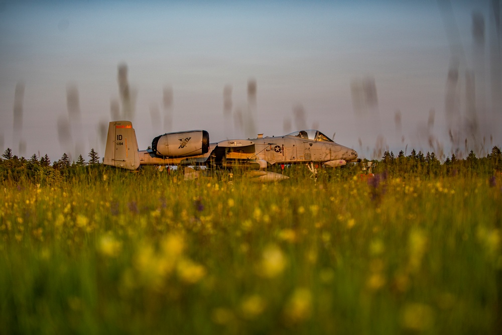 Idaho's A-10 Thunderbolt IIs at sunset in Germany at Air Defender 23