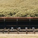 3d MLR Marines Conduct Scout Screener