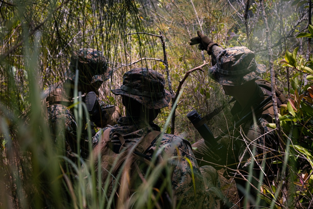 3d Littoral Combat Team Patrol Exercise