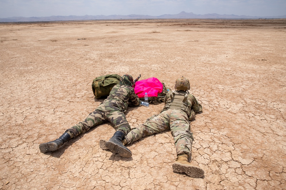 173rd Infantry Brigade Combat Team participates in a Joint Airborne Exercise with Members of the Moroccan Military