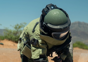 741st EOD unit training
