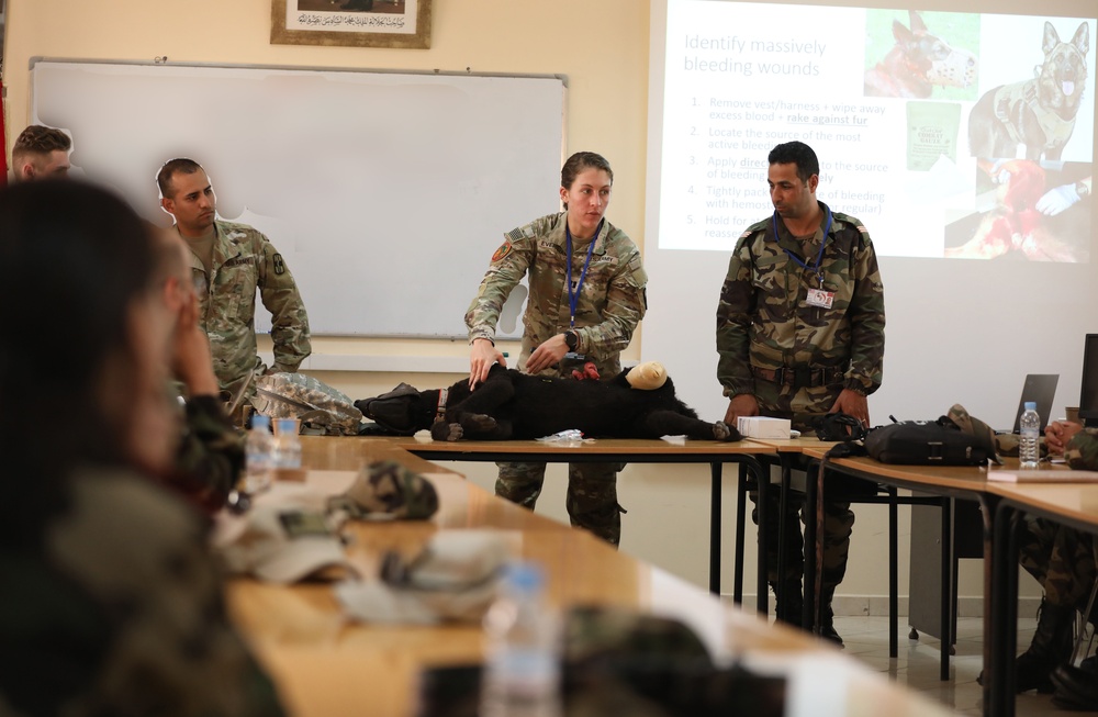 U.S. Army and Moroccan Veterinary teams conduct K9 first-aid training during African Lion 23