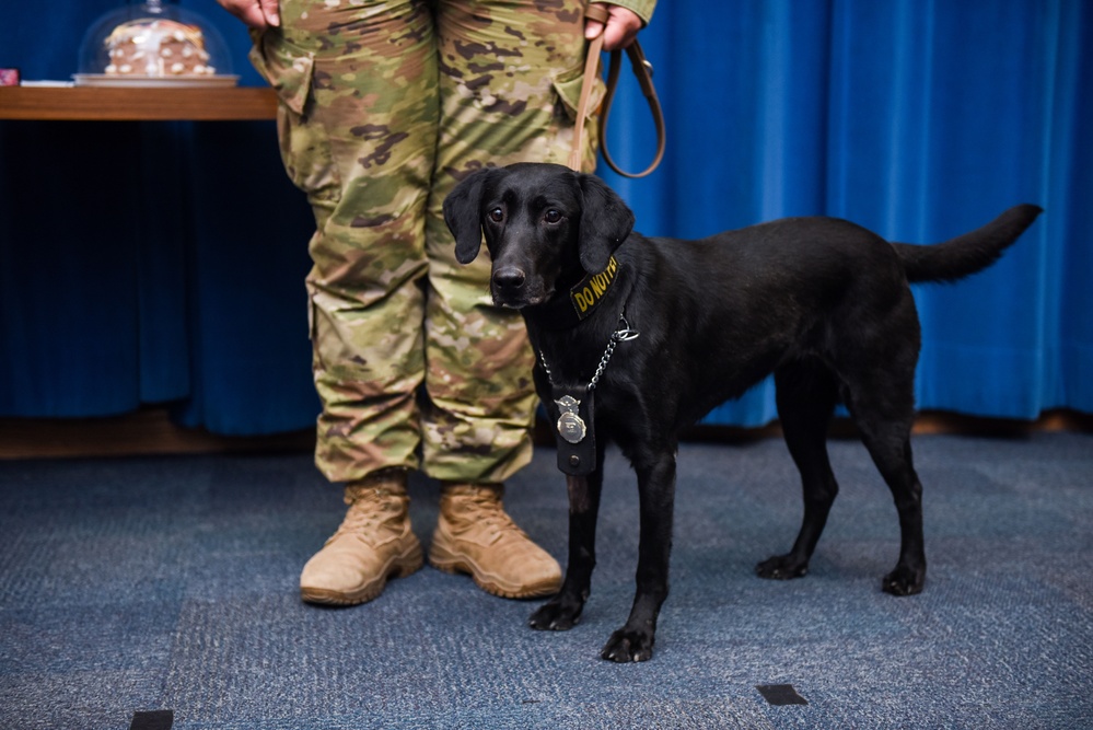 Military Working Dog Lefty Retires Honorably from Kirtland Air Force Base