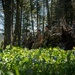 Montana Airmen conduct SERE refresher training