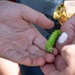 Bugapalooza