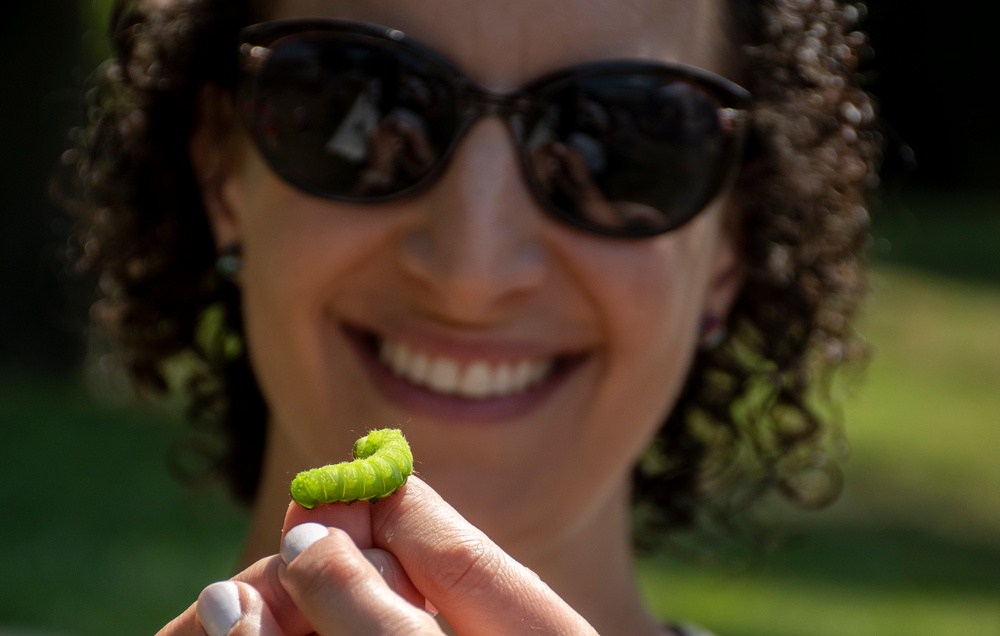 Bugapalooza