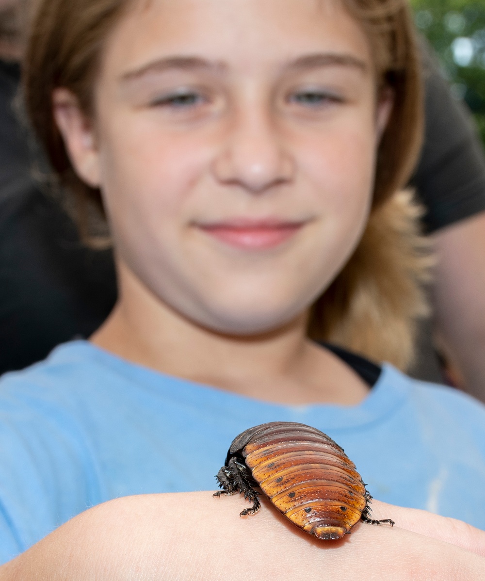 Bugapalooza
