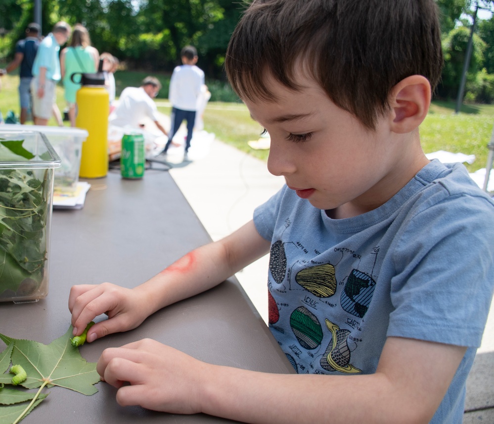 Bugapalooza