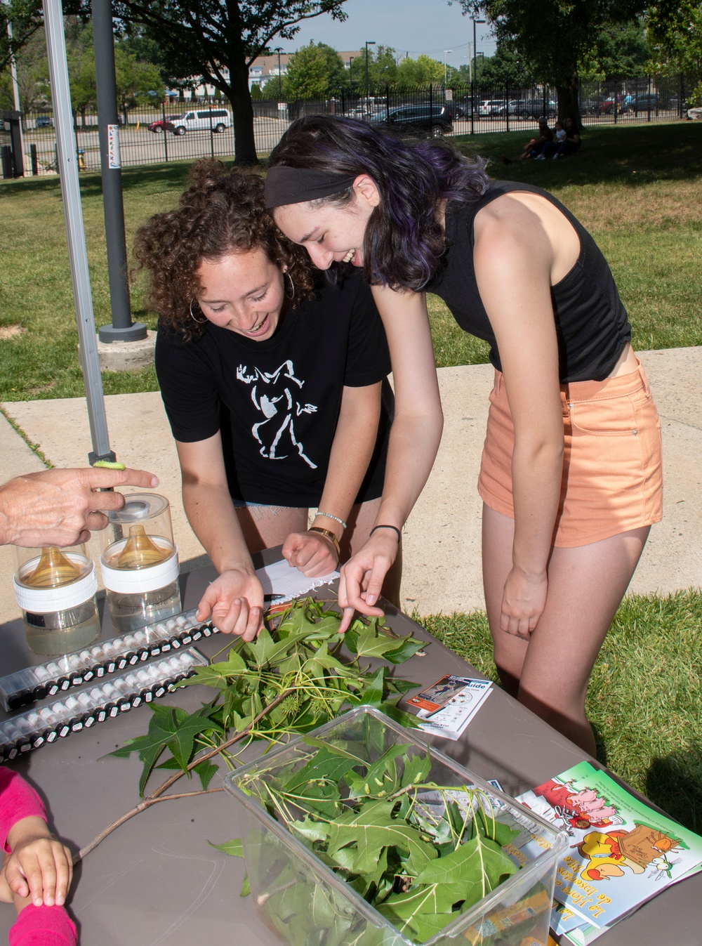 Bugapalooza