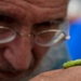 Bugapalooza