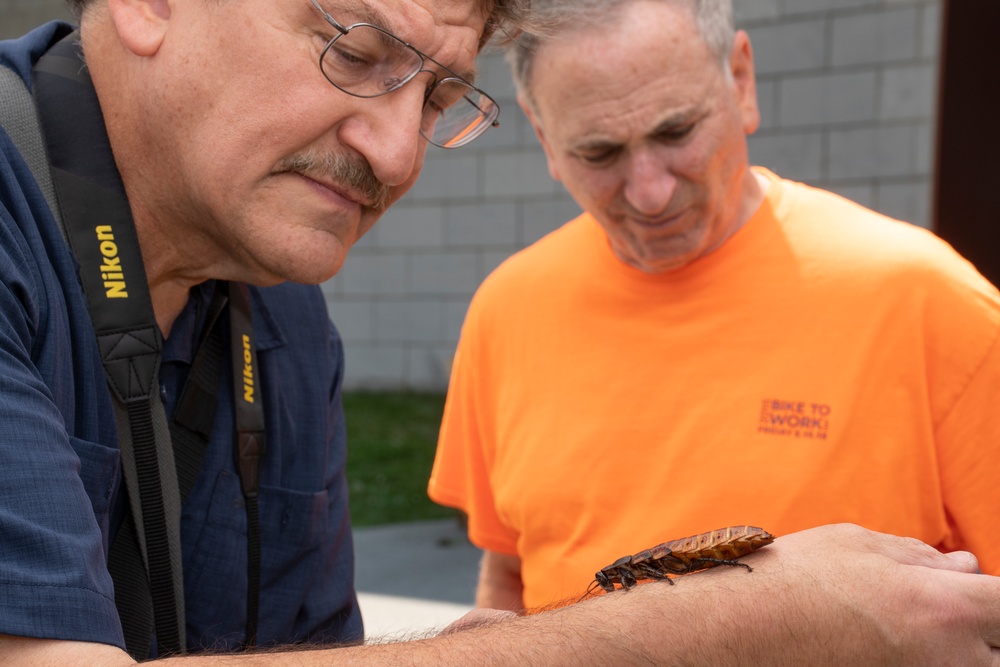 Bugapalooza