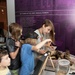 Bugapalooza