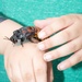 Bugapalooza