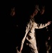 Bravo Company Curcible