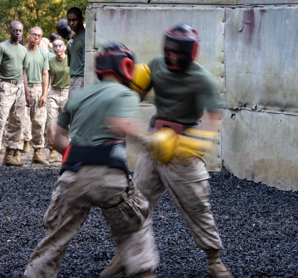 Bravo Company Crucible