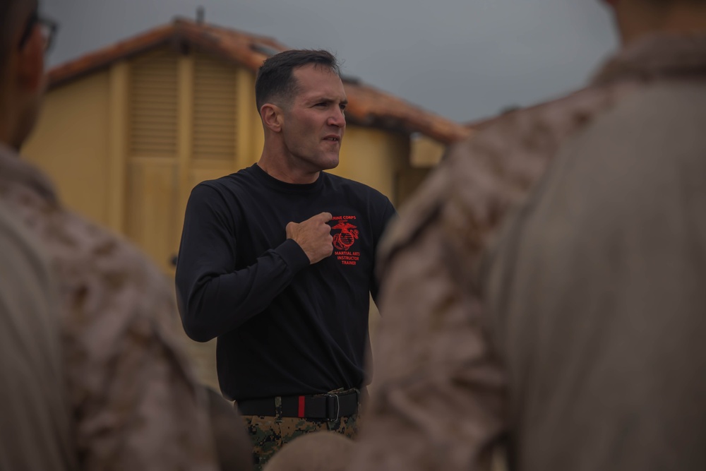 Mike Company BAC and Pugil Sticks