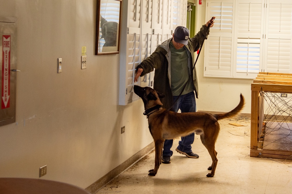 Kauai Police Department trains new working dog at Pacific Missile Range Facility (PMRF).