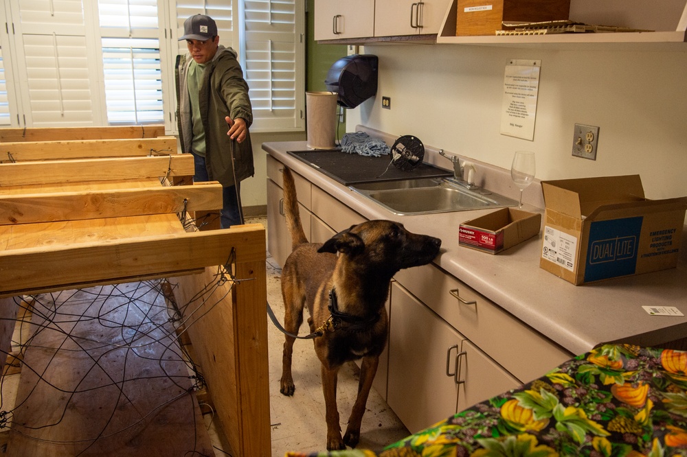 Kauai Police Department trains new working dog at Pacific Missile Range Facility (PMRF).