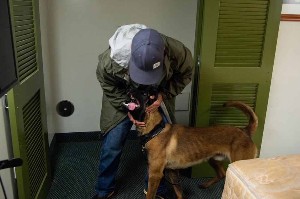 Kauai Police Department trains new working dog at Pacific Missile Range Facility (PMRF).