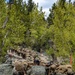 Marines with 2/23 conduct a conditioning hike during MTX 4-23