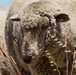 Travis AFB protects environment by using sheep