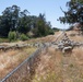 Travis AFB protects environment by using sheep